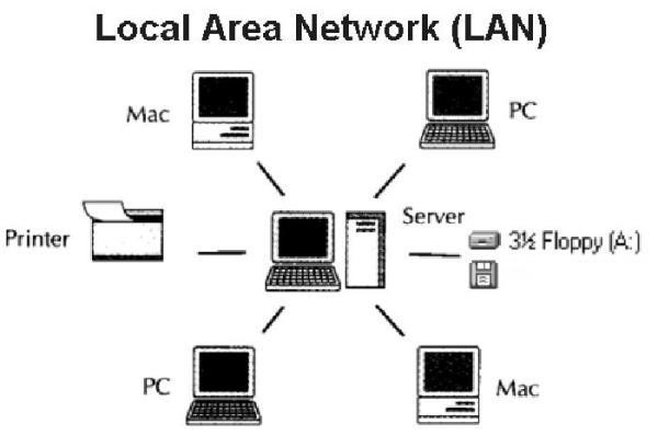 Mạng LAN  kết nối nội bộ trong doanh nghiệp